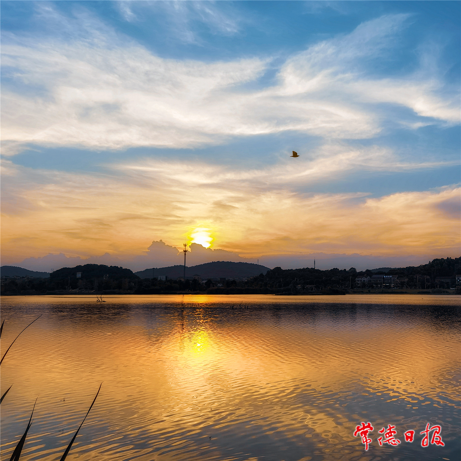 sj朱世奎-湖光山色-1.jpg