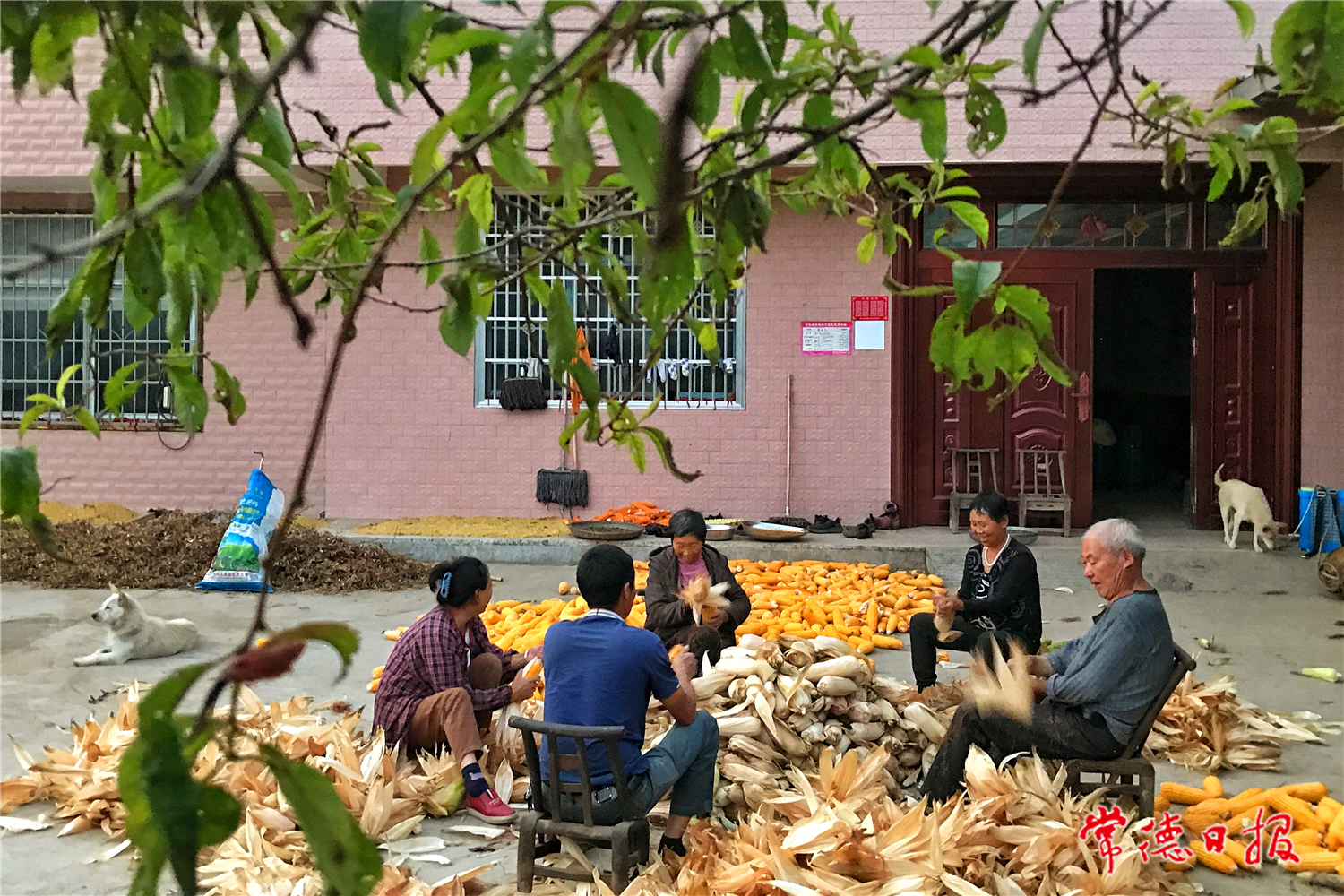 sj田輝舉 農(nóng)家樂 - 副本.jpg
