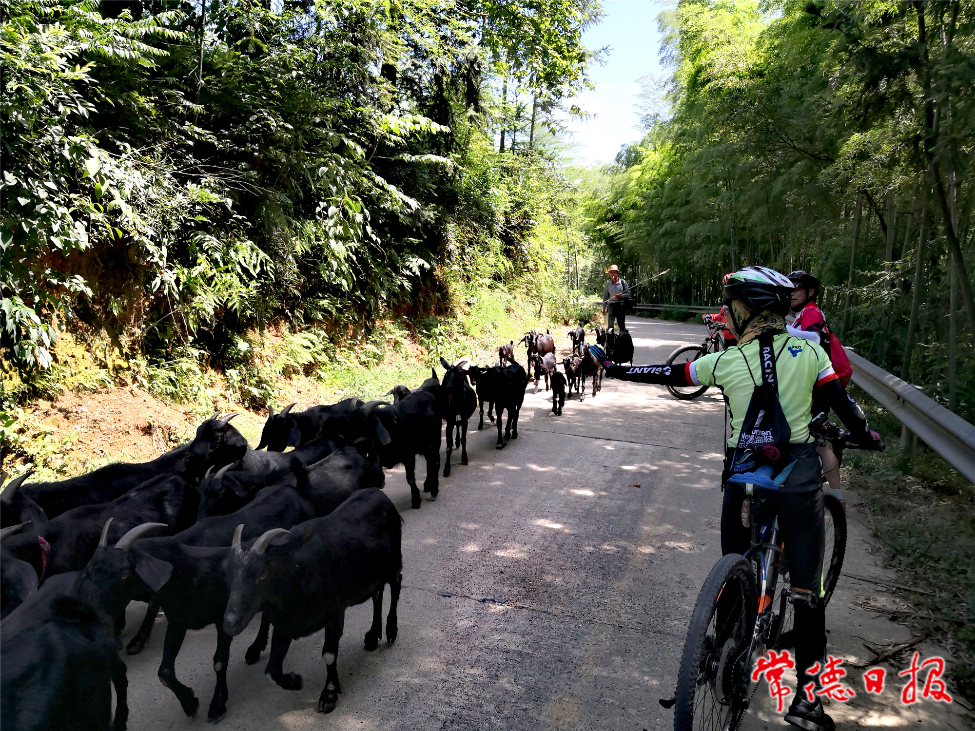 周先陽(yáng)-邂   逅-1.jpg