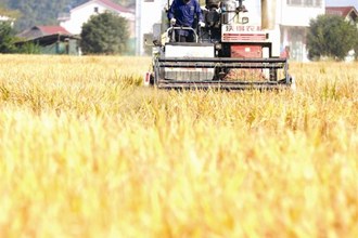 洞庭糧倉美如畫 