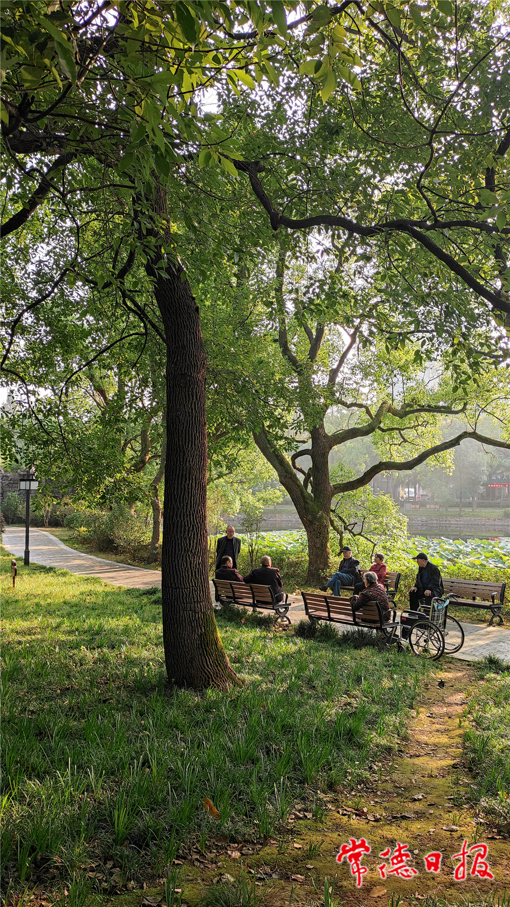 李寶成 港白話.jpg