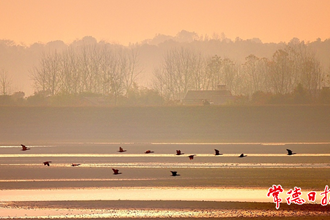 漢壽縣西洞庭湖濕地安樂湖