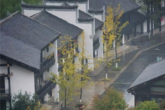 手機攝影┃“高新區(qū)杯?發(fā)現(xiàn)常德之美”影像征集大賽第33期作品選登