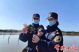 【經(jīng)濟(jì)】漢壽產(chǎn)大閘蟹首次出口非洲 外貿(mào)實(shí)現(xiàn)新突破