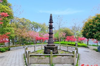 手機攝影┃“高新區(qū)杯?發(fā)現(xiàn)常德之美”影像征集大賽第35期作品選登