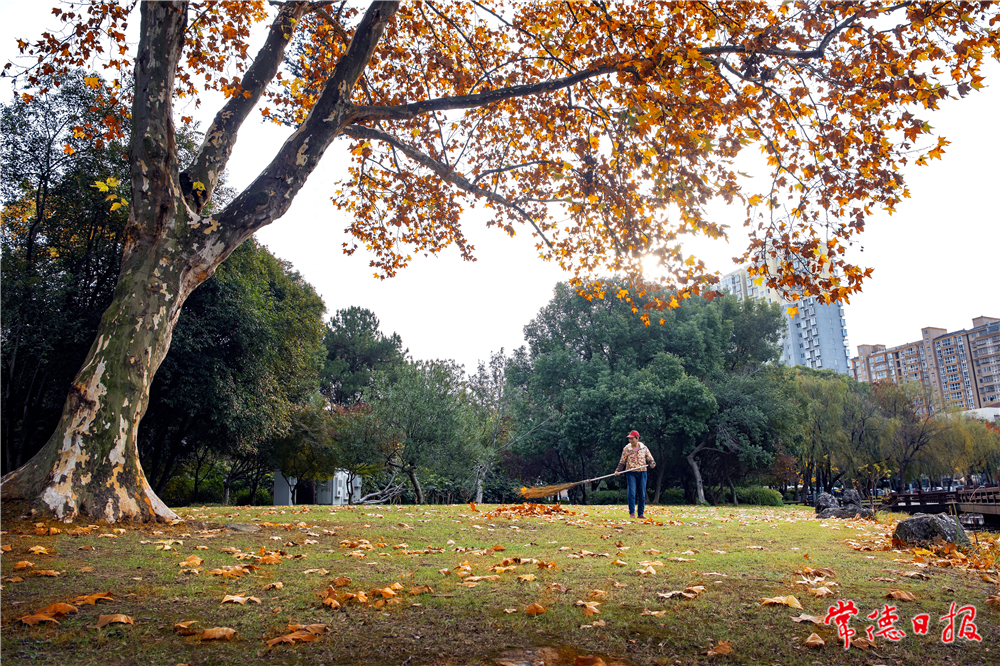歐陽建強(qiáng) 《濱湖公園最美清潔工》.jpg