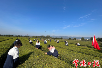 【社會】?茶鄉(xiāng)學子的茶藝課