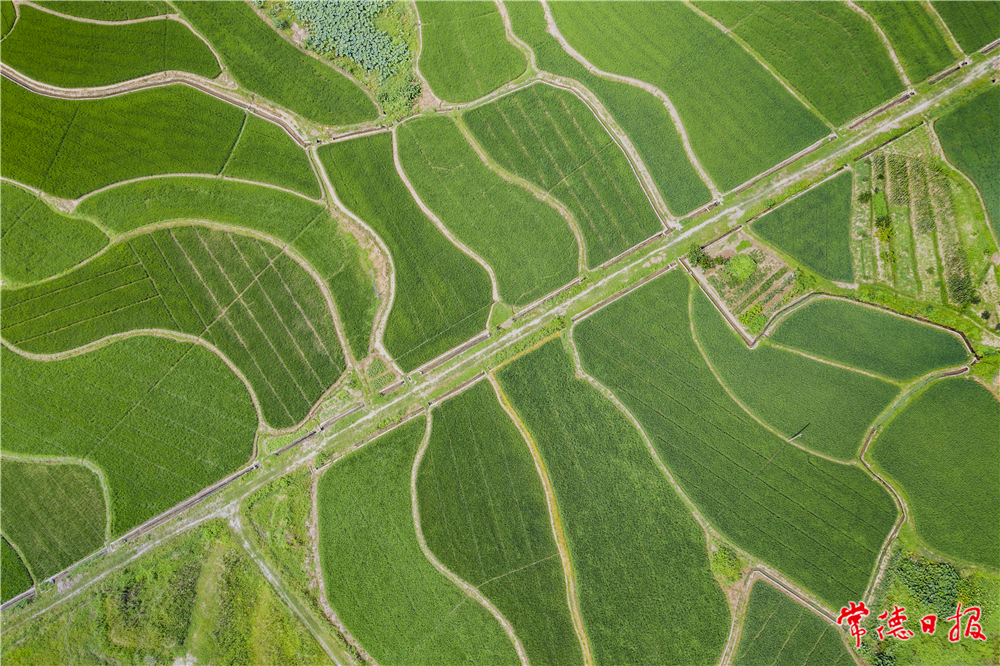 大地脈絡(luò) 周愛田 攝.jpg