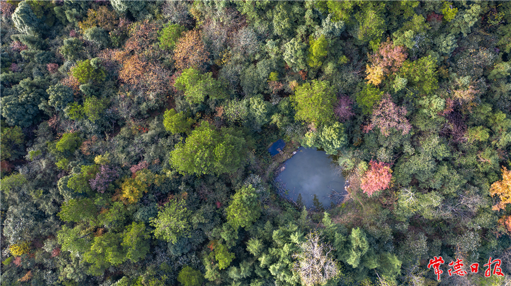 王勇.jpg 王勇.jpg