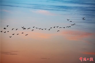 冬日美好【組圖】