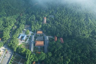 【生態(tài)】石門夾山國家森林公園