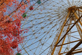 手機攝影┃“高新區(qū)杯?發(fā)現(xiàn)常德之美”影像征集大賽第42期作品選登