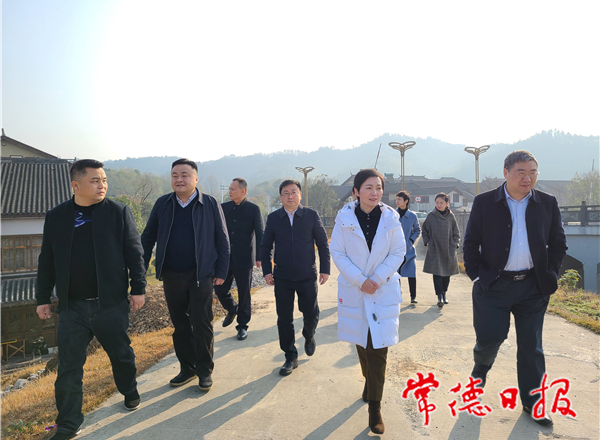 市領(lǐng)導(dǎo)帶隊(duì)巡查桃花源水溪河