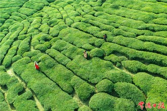 行行攝攝【組圖】