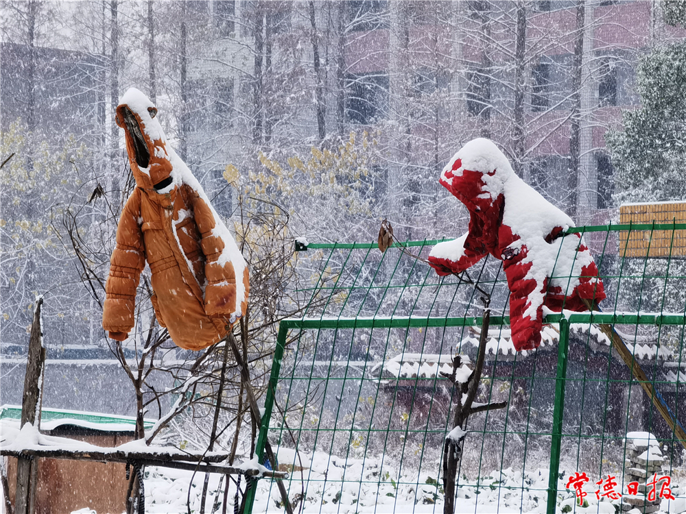 饒玉霞 雪人.jpg