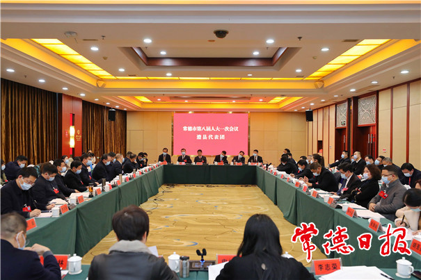 曹志強參加澧縣代表團審議