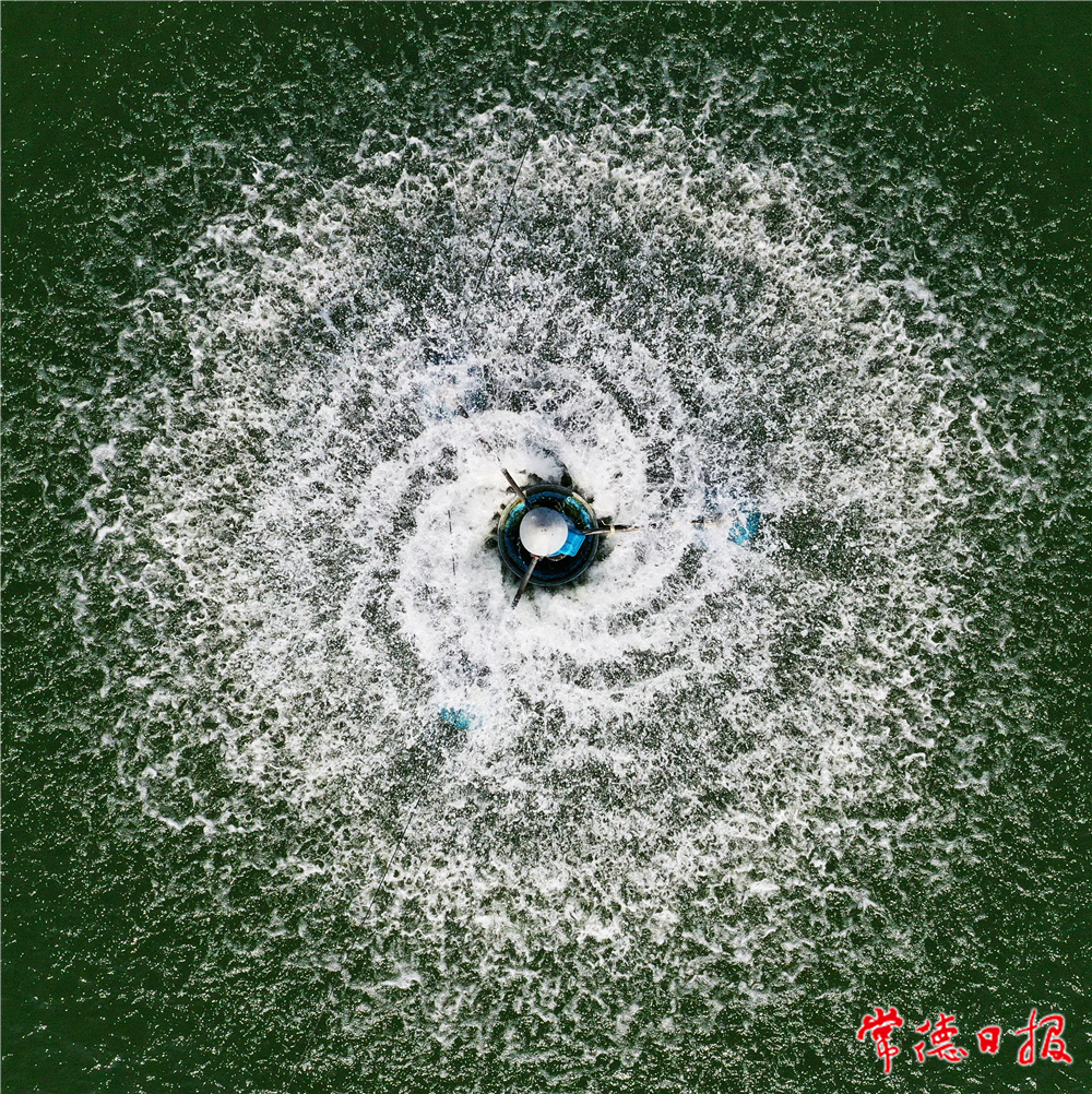 活力四射 柏依樸 攝.jpg