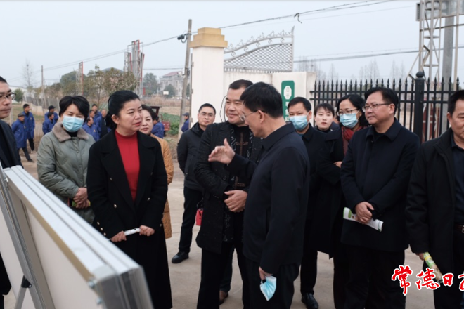 市領(lǐng)導(dǎo)調(diào)研鼎城區(qū)甲魚產(chǎn)業(yè)發(fā)展時提出 科學(xué)謀劃、積極組織，進(jìn)一步推動農(nóng)業(yè)產(chǎn)業(yè)化