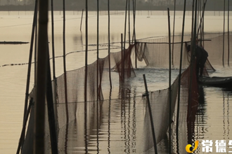 【生態(tài)】西洞庭：以水養(yǎng)魚 以魚凈水