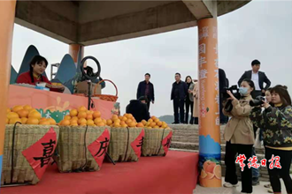 【經(jīng)濟(jì)】臨澧刻木山鄉(xiāng)園豐臍橙喜摘全省金獎(jiǎng)