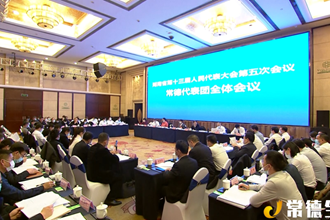 常德代表團繼續(xù)審查省政府工作報告及其他報告