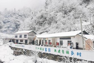 【澧縣】瑞雪兆豐年