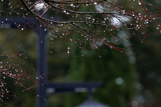 【攝影報道】一場春雪，讓這里美出圈