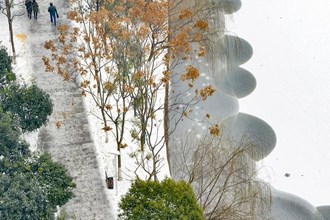 【津市市】東湖雪景