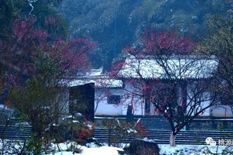 【桃花源】飛雪至仙境 紅梅綻枝頭