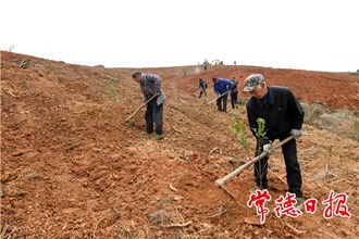 【社會】鼎城區(qū)蔡家崗鎮(zhèn)：早動手 搶農(nóng)時