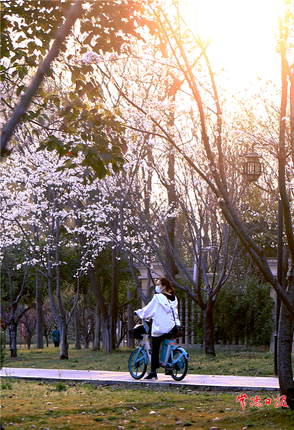 劉圖強-花兒為何這樣美-穿紫河畔 .jpg