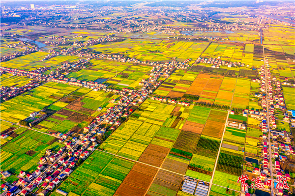 梁志彬-散落春天里的民居 桃源漳江街道均田坪村一帶.jpg