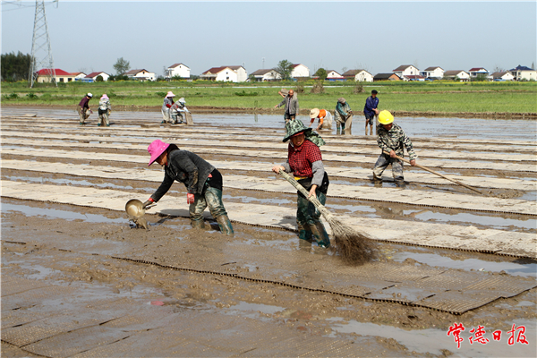 《春分時節(jié)》攝于牛鼻灘 皇甫澤華攝.jpg
