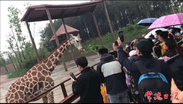 IMG_20220430_17272094_1651311449623.jpeg IMG_20220430_17272094_1651311449623.jpeg