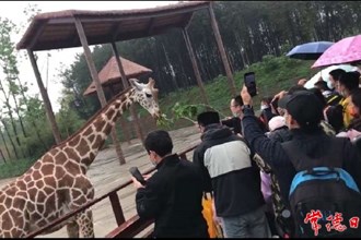 【攝影報(bào)道】＂五一”假期首日，漢壽野生動物上場霸屏