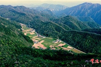 上馬蹬村：牛羊成群遍山野【組圖】