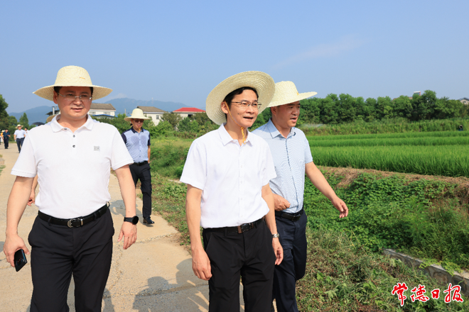 曹志強(qiáng)調(diào)研防旱抗旱、電力供應(yīng)、消防安全工作