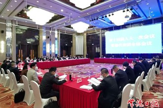 常德代表團(tuán)集中審議省政府工作報(bào)告及其他報(bào)告