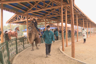 【社會】這個春節(jié)多了一種“年味”：5萬余人打卡常德同發(fā)野生動物世界