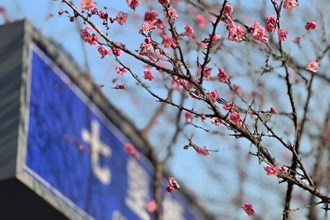 【賞花地圖】梅花與春天相逢，是雙向奔赴的美好