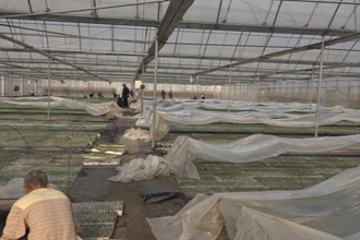 【臨澧】育苗工場吐新綠 煙農(nóng)復工干勁足