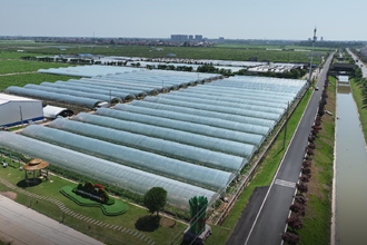 【西湖】春耕農(nóng)時忙 育出“金苗苗”