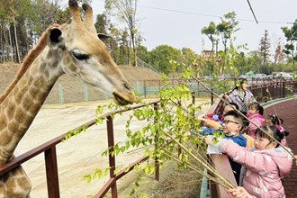 【社會(huì)】同發(fā)野生動(dòng)物園迎來(lái)小客人