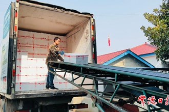 【安鄉(xiāng)縣】新沙村菜薹發(fā)往廣州、深圳等地