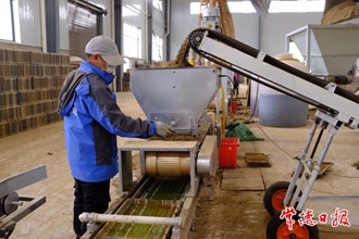 【攝影報(bào)道】育秧也能“工廠化”