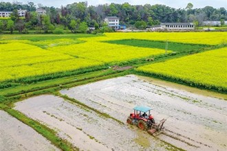 【社會(huì)】旋耕機(jī)在耕田