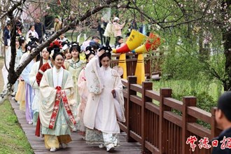 【社會】萬名游客齊聚 桃花源里上演唯美國風(fēng)