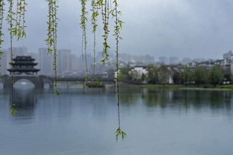 【多圖】春染柳湖（二）