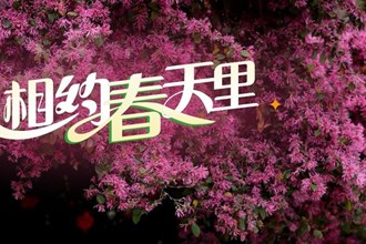 【海報(bào)】相約常德，擁抱春天