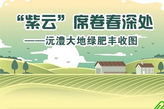 【長圖】“紫云”席卷春深處——沅澧大地綠肥豐收圖